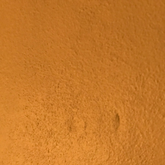 Meet your Posher, Alex - Picture 1 of 1